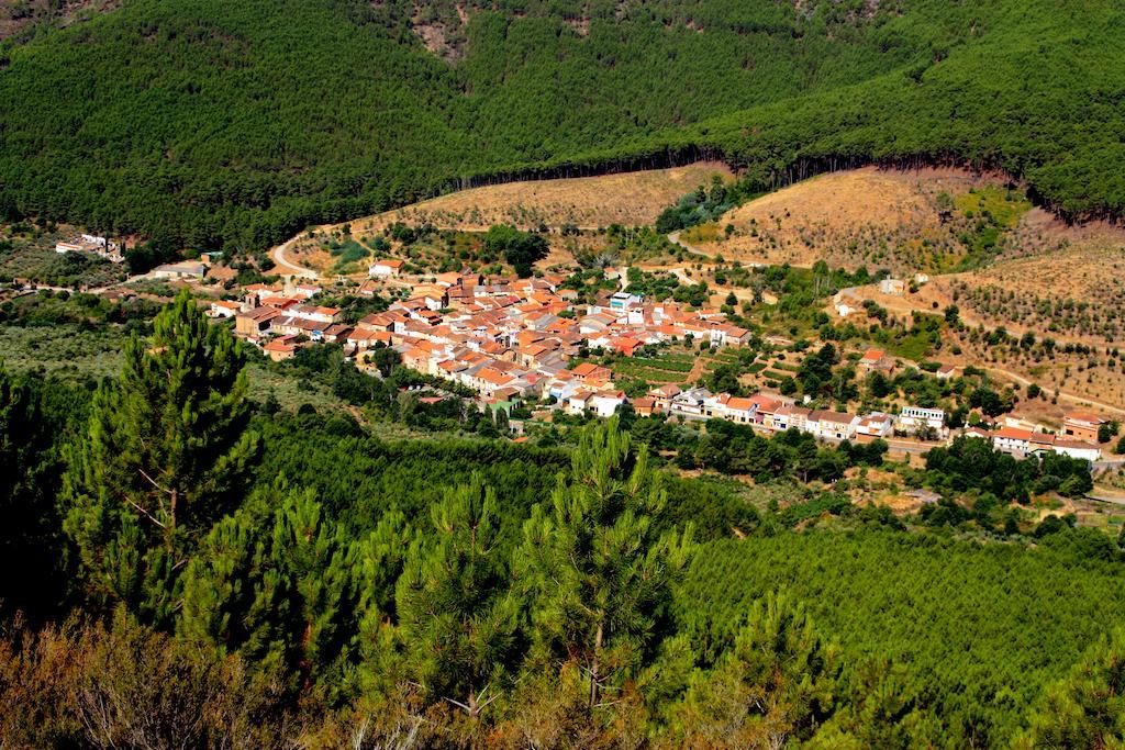 La Boticaria Casa Rural Apartamento Descargamaría エクステリア 写真